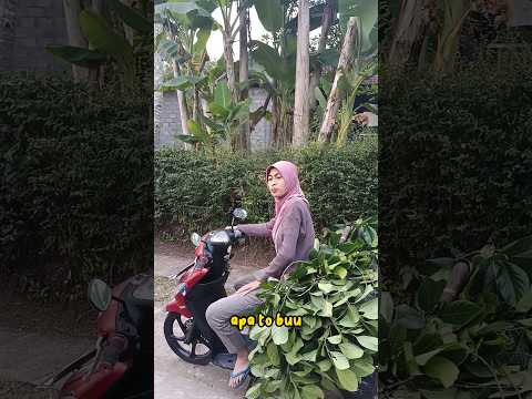 tetep ngarit 😁
