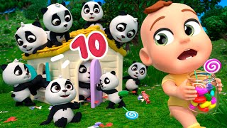 Count to 10 with Cute Critters! | Lalafun Baby Songs & Nursery Rhymes