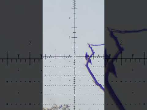 140 yard headshot! #hunting #airgun#shorts