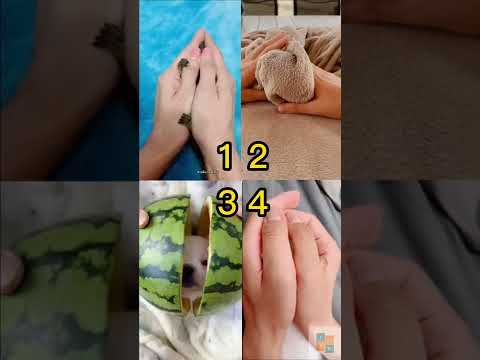 Pick Your Best? 😍 Tiktok Compilation 💘 Pinned your comment 📌#226 #shorts #dance #ytviral #ytshorts