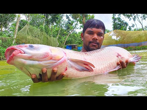 CAST NET Fishing vs Traditional Fishing Which is BETTER
