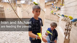 Ivan & Michael's Parrot Feeding Adventure! 🦜