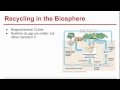 Ecology Concepts and Nutrient Cycles