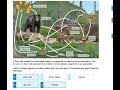 Food Web Dynamics in Ecosystems