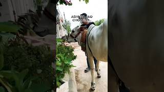 ONLY BOYS CAN UNDERSTAND 😭 #cow #viral #shorts #fyp #shortsfeed