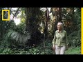 Jane Goodall's Journey and Insights