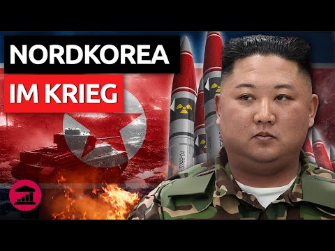 NORDKOREAS Armee im Einsatz gegen die UKRAINE – VisualPolitik DE