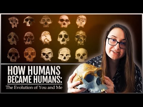 How Humans Became Humans: The Evolution of You and Me