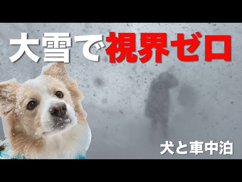 落雪から一瞬でホワイトアウト...犬と車中泊中に起こった恐怖体験。【ボーダーコリー•ゴールデンレトリバー】