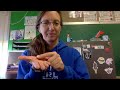 Understanding Video Section Purposes
