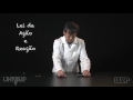 Magnetism and Forces Concepts