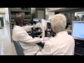 Clinical Lab Scientist Career Insights