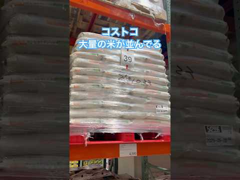消費者をナメている!コストコに大量の米が並び始める!