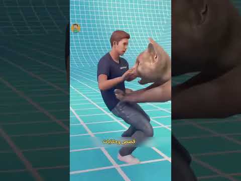 ماذا لو اصبحت حجم قطه بحجم النمر 🔥😂