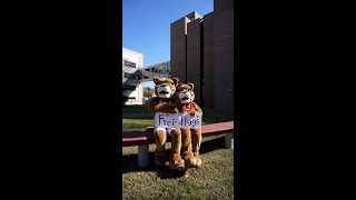 Hugs for Valentine's with Shasta and Sasha