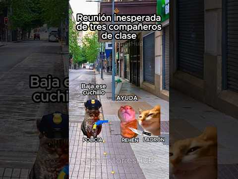 Reunión inesperada de 3 compañeros de clase #historiasdegatos #storytime #gatitos #cats #michis
