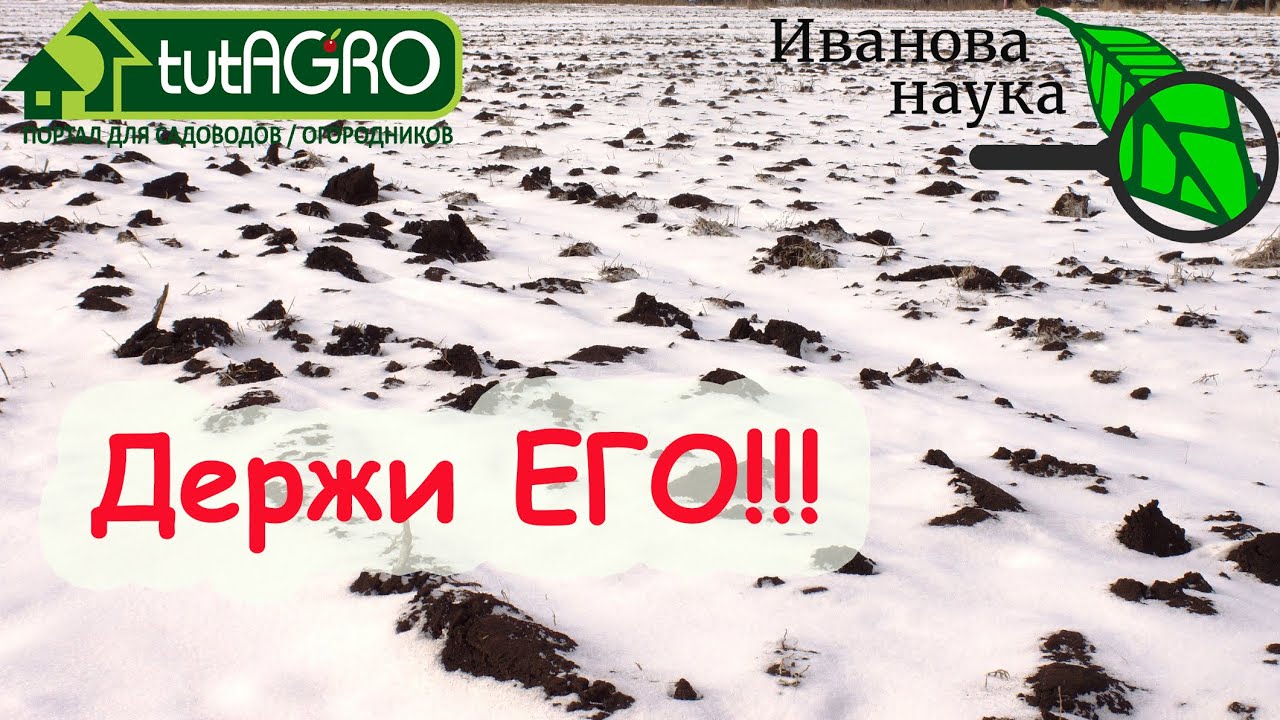 Увеличьте урожай сразу в раза! Залог завтрашнего урожая снегозадержание