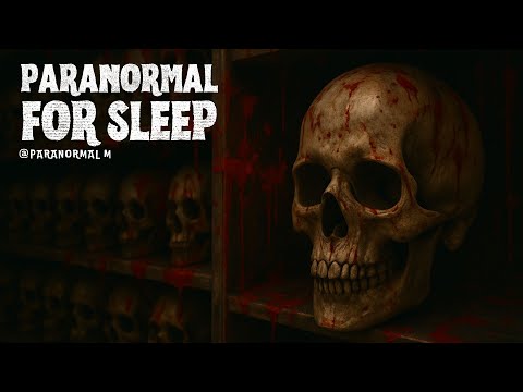 Paranormal Stories |  Bone Chilling Paranormal Tales Unleashed | Vol 137