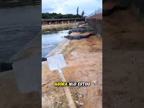 Uncle vs Crocodiles! 😱🐊🔥 Who Will Win? #shorts #viral