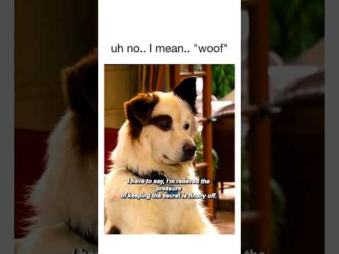 Talking Dog EXPOSED! Woof! #funny #shorts