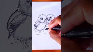 How to draw birds in love