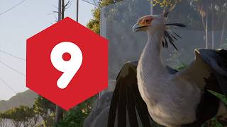 9分，《动物园之星2》评测：鸟鱼兽齐活