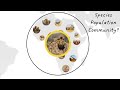 Ecology and Species Interactions