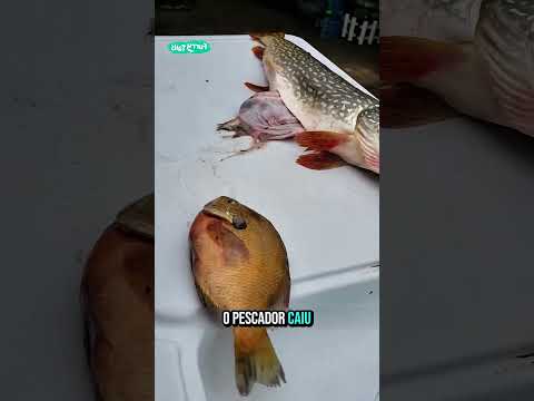 olha isso   tava na barriga do peixe#curiosidades #educação #shorts #pesca #foryoupage