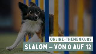Online-Themenkurs "Slalom – von 0 auf 12" (Trailer)