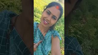 chehre pe Tere Hai Roshan savera