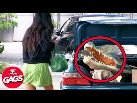 This Would Only Happen In Florida | Just For Laughs Gags