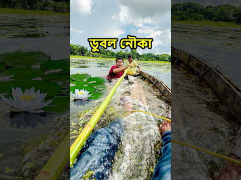 শাপলা কুড়াতে গিয়ে ডুবে গেল নৌকা #minizoo