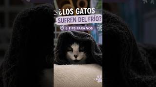 8 tips sobre los Gatos y el Frio #invierno #gatos