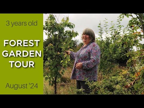 Perennial Planting in the garden | Forest Garden tour