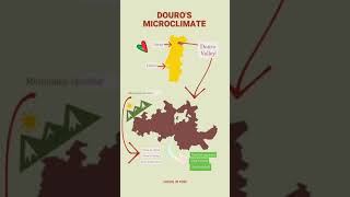 Douro's microclimate (animation)