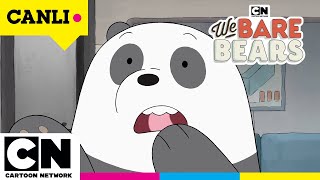 🔴 CANLI 🔴 KAFADAR AYILAR | 3. Sezon Tüm Bölümler | @cartoonnetworkturkiye