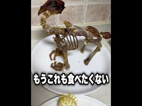 【神回】TikTokにアフレコしてツッコんでみたらヤバかったwwwwwwwwwwww【第775弾】 #shorts #ボケとツッコミ #爆笑 #tiktok #ツッコミ