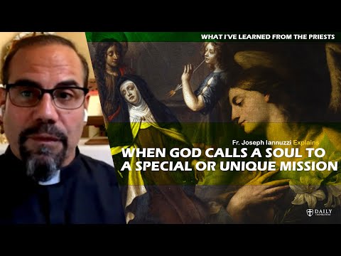 The angel (literally) thrust the shaft of God's love through her heart. Catholic priest explains.