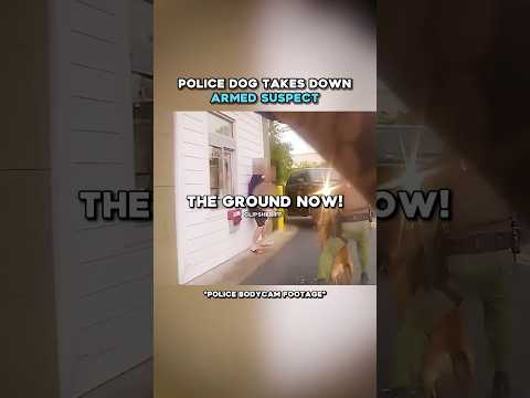 Police DOG Takes Down Armed Suspect ๐ณ
