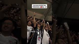 BEŞİKTAŞ 3 ERZURUMSPOR 0 ÇARŞI TRİBÜN ŞOV #beşiktaş #bjkcup #football #futbol #besiktas #bjk