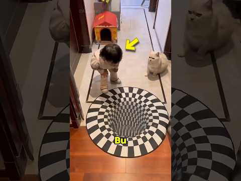 Yaramaz Kedi 3 boyutlu bir sürprizle karşılaştı😍❤️ #shortvideo