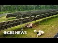Renewable Energy Concepts and Challenges