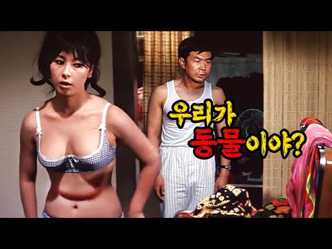 와... 이렇게도 살수 있는 거구나... ㅁi친 라이프 스타일에 할많하않...