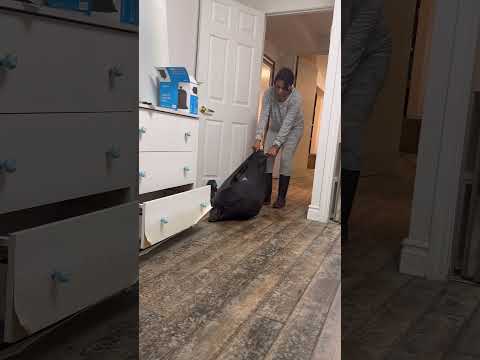 Flood Restoration Part 3 #urduvlog #hindivlog #pakistanicanadianvlogger #floodrestoration #pakistani