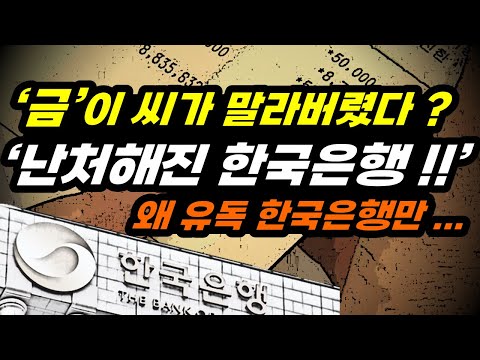 금 한돈에 60만원? ,한국은행 '어 이게 아닌데?? 어쩌지??' 난감하다 난감해!!