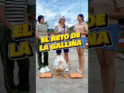 El reto de la Gallina - Parte 3 🐓🏆