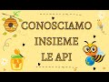 Ruolo e Funzioni delle Api