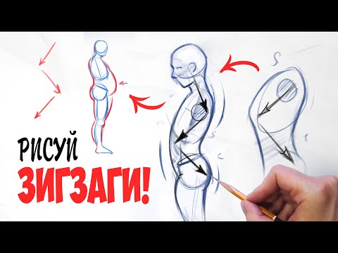 Важный принцип в рисовании анатомии человека.