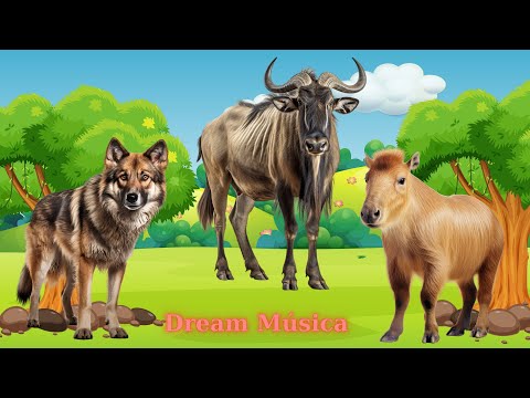 Cute Little Animals: Wolf, Wildebeest, Vulture, Baboon, Capybara - Animal Videos