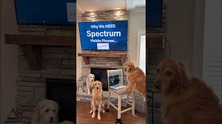My dogs REALLY wanted @Spectrum mobile… 😅 #SpectrumPartner